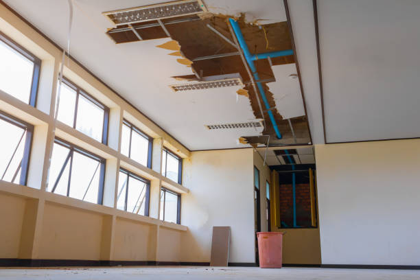 Best Sewage cleanup and water damage restoration  in Saxonburg, PA