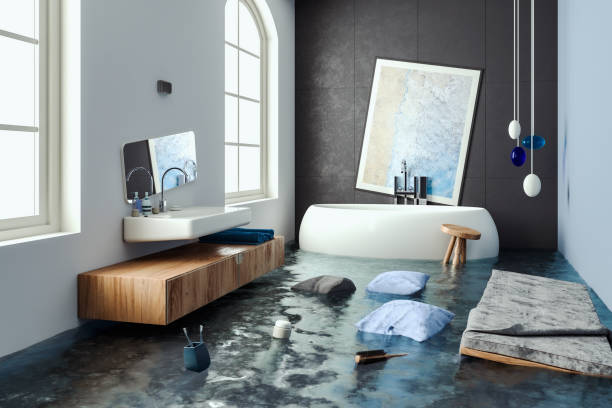 Best Professional water damage repair  in Saxonburg, PA