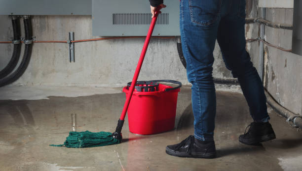 Best Flood damage cleanup  in Saxonburg, PA