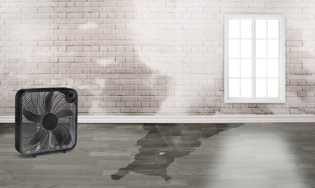 Best Fire Damage Restoration  in Saxonburg, PA