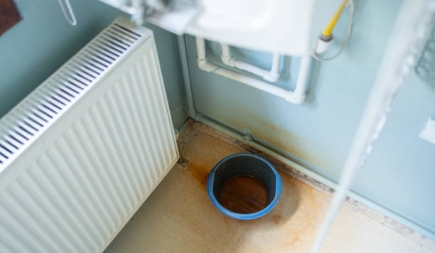Best Water damage restoration specialists  in Saxonburg, PA