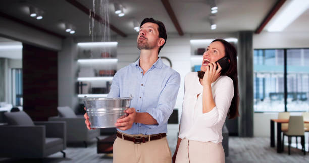 Best Water damage restoration near me  in Saxonburg, PA