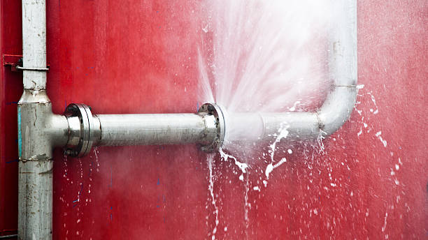 Best Residential water damage restoration  in Saxonburg, PA