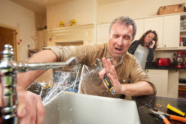 Best Flooded house restoration  in Saxonburg, PA